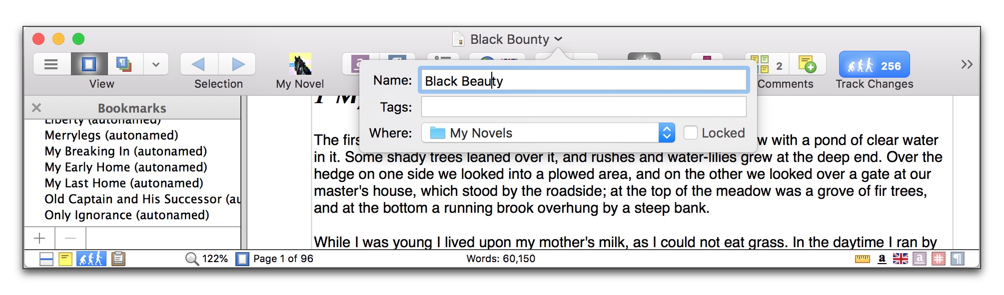 Renaming the novel .jpg