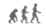 image-51.gif